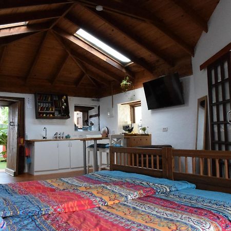 Finca Casa Madera 1 Icod De Los Vinos Zewnętrze zdjęcie
