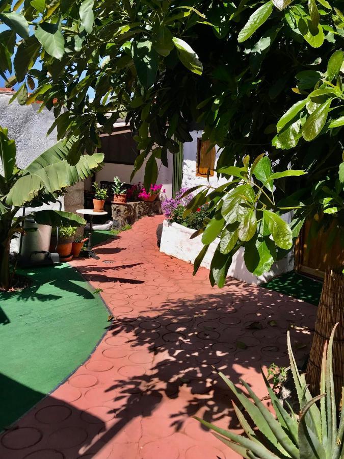 Finca Casa Madera 1 Icod De Los Vinos Zewnętrze zdjęcie
