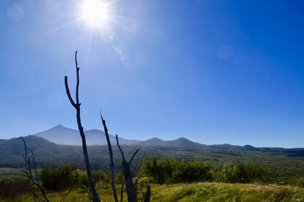 Finca Casa Madera 1 Icod De Los Vinos Zewnętrze zdjęcie